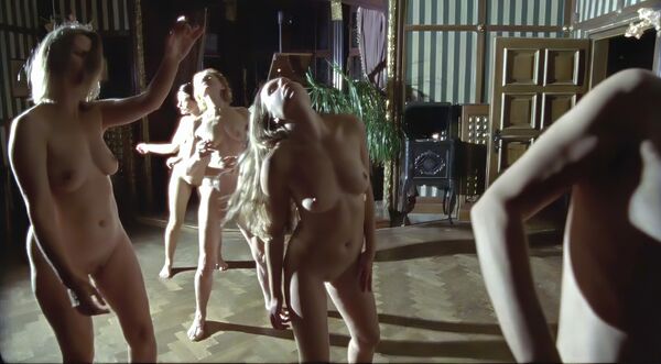 Aleksandra Nowosadko - "Człowiek do wszystkiego"