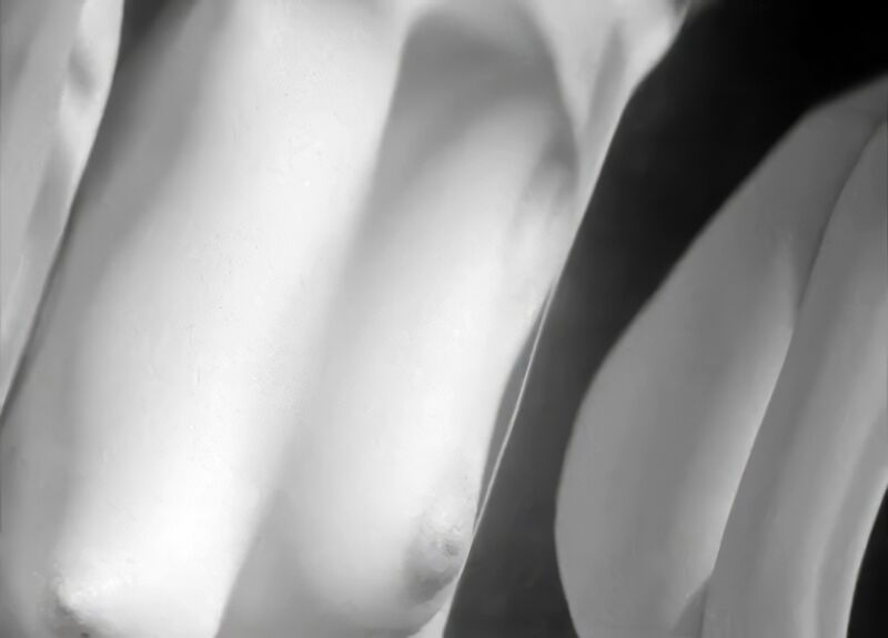 Plik:Ewa Lemanska przebudzenie05.jpg