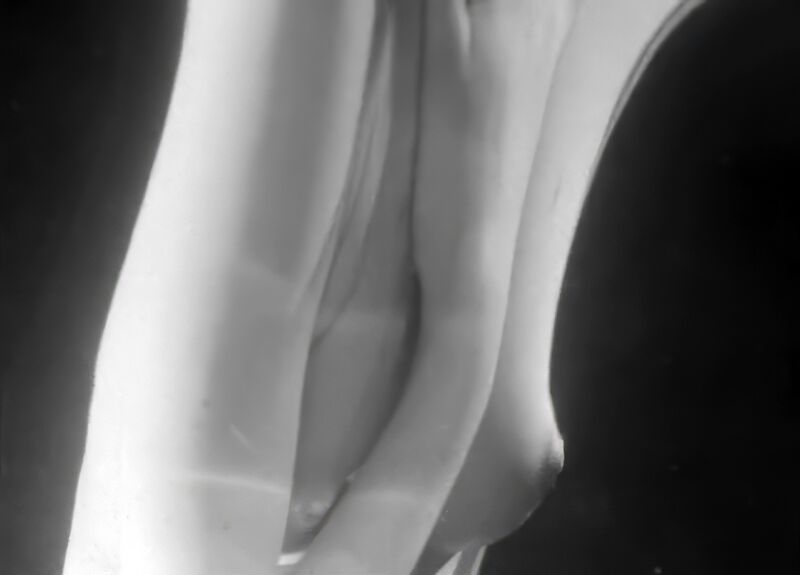 Plik:Ewa Lemanska przebudzenie06.jpg