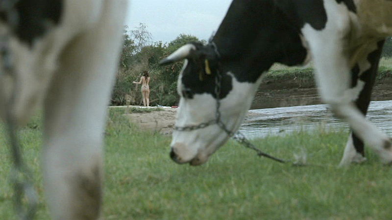 Plik:Marta Zmuda Anna Cieslak slubypanienskie 15.jpg