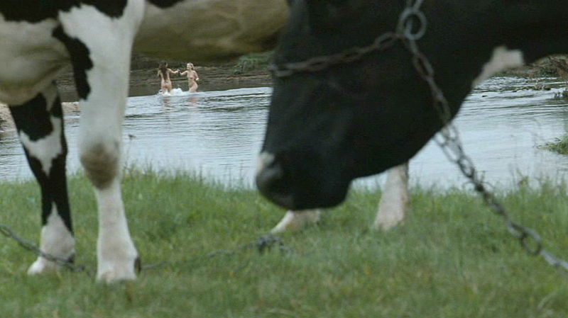 Plik:Marta Zmuda Anna Cieslak slubypanienskie 20.jpg