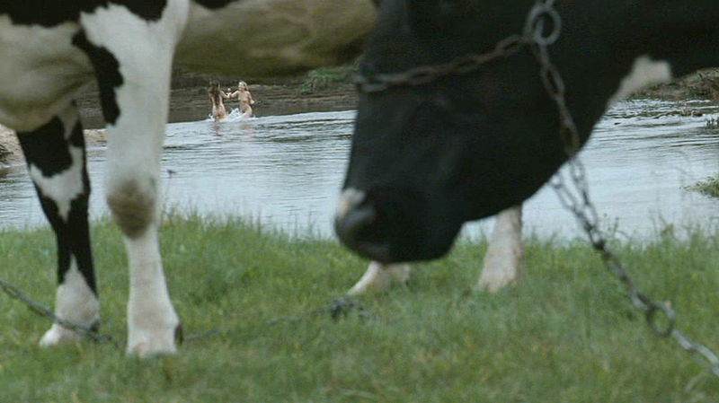 Plik:Marta Zmuda Anna Cieslak slubypanienskie 21.jpg