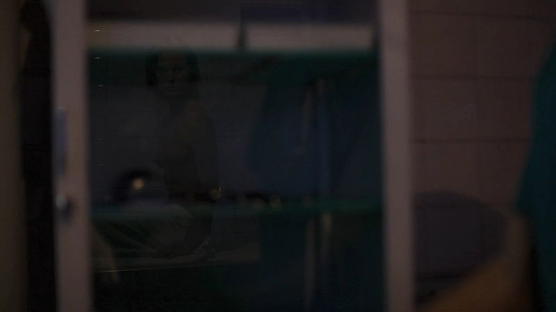 Plik:Patrycja Skrodzka swieczka 08.jpg